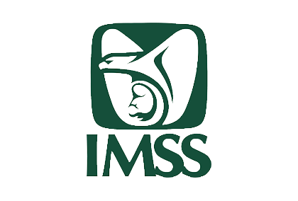 clientes - imss - horus security systems
